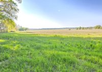 108012534-411-290-0-1-1