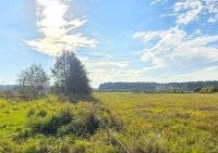 108439329-411-290-0-1-1