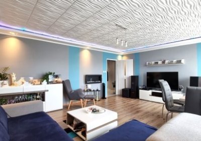 103554743-411-290-0-1-1