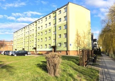 107216319-411-290-0-1-1