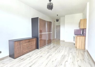 107473794-411-290-0-1-1