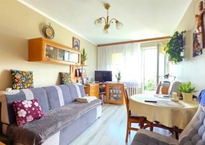 107890644-411-290-0-1-1