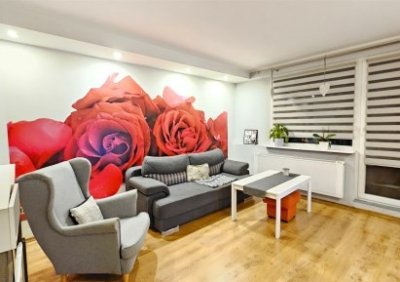 106618725-411-290-0-1-1