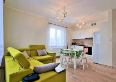 108211745-411-290-0-1-1