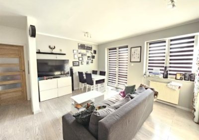 107092659-411-290-0-1-1