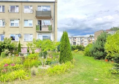 108121780-411-290-0-1-1