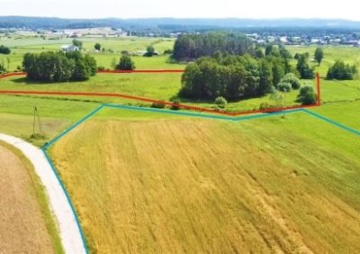 101184583-411-290-0-1-1