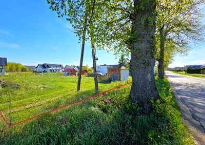 107413818-411-290-0-1-1