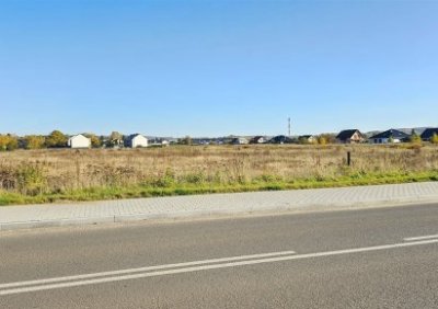 106396685-411-290-0-1-1