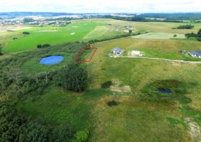 106317174-411-290-0-1-1