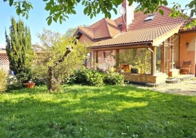 106063995-411-290-0-1-1