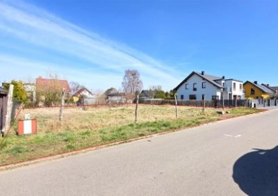 107278229-411-290-0-1-1