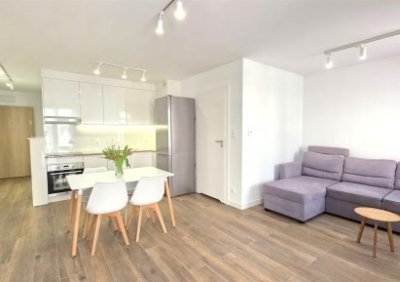 107155125-411-290-0-1-1