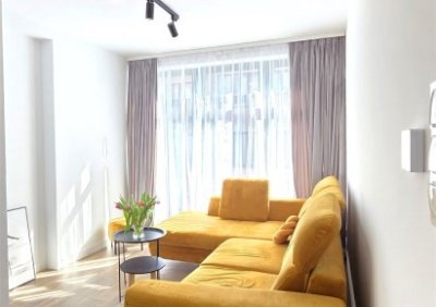 107153955-411-290-0-1-1