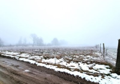 102629252-411-290-0-1-1