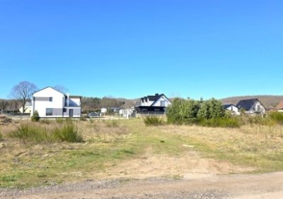 107257599-411-290-0-1-1