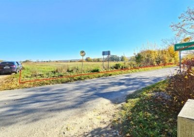 106380611-411-290-0-1-1