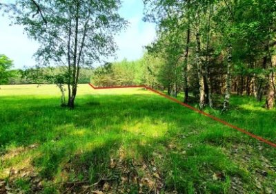 104822517-411-290-0-1-1