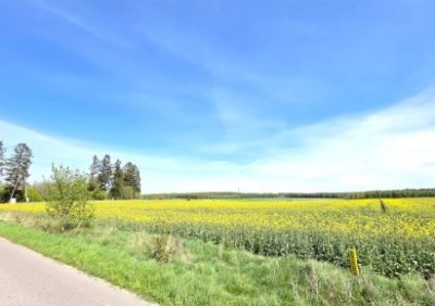 107422807-411-290-0-1-1