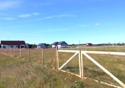 107701296-411-290-0-1-1