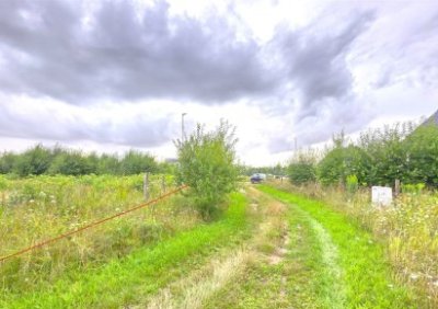 107997636-411-290-0-1-1