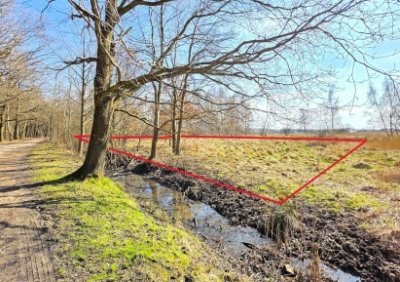 107214927-411-290-0-1-1