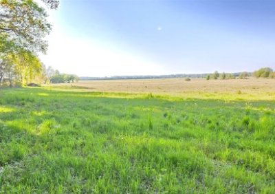 108012534-411-290-0-1-1